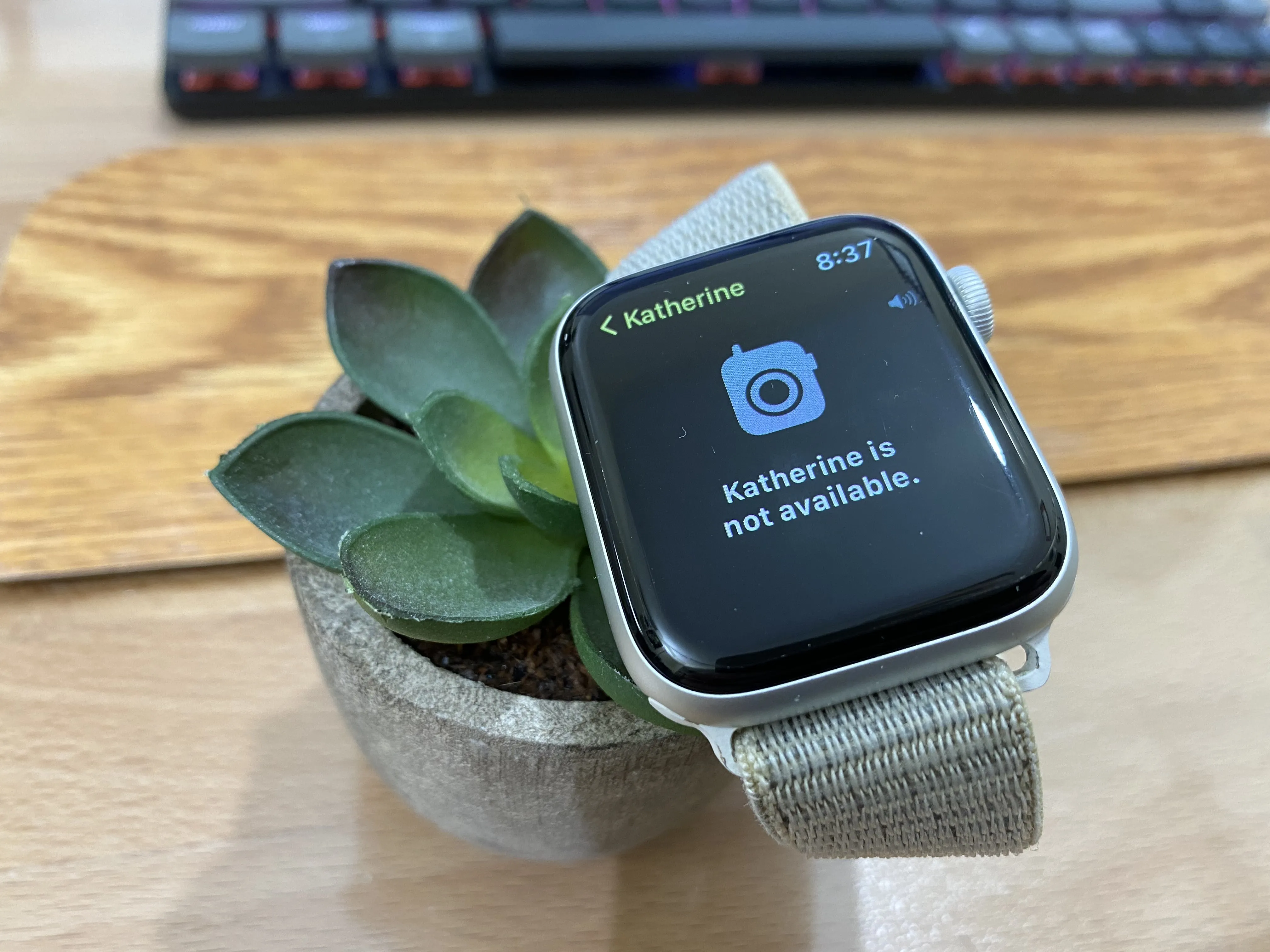 My Apple Watch with the Walkie Talkie application attempting to connect to my wife.